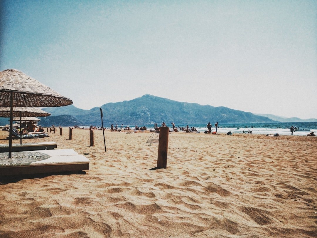 a sandy beach with umbrellas and people on it