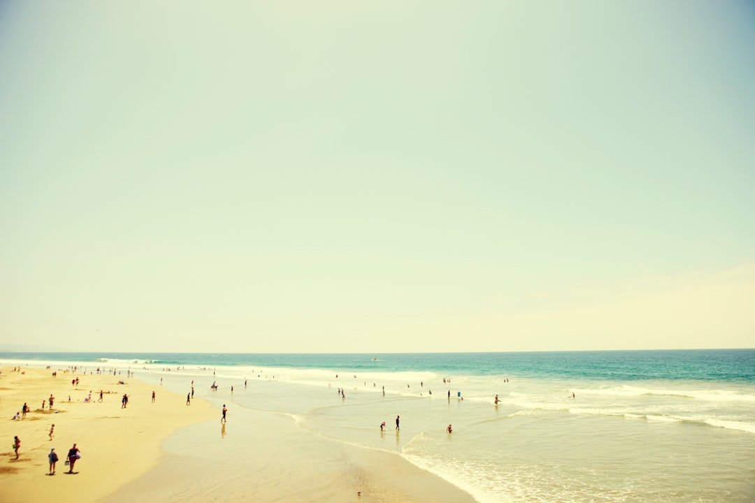 people on beach during daytime