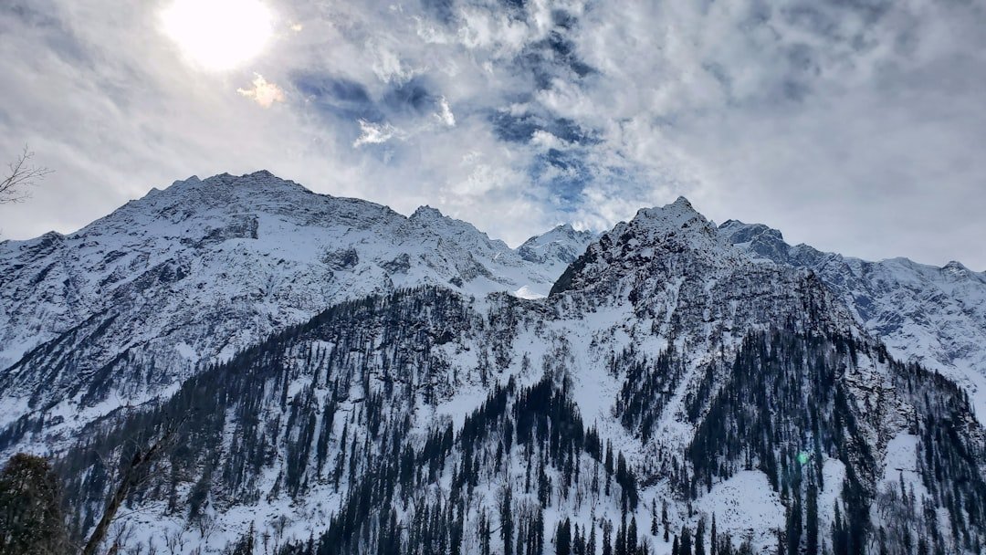a snowy mountain with trees