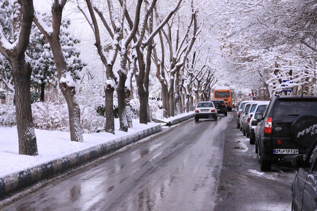 red bus on road between trees covered with snow during daytime