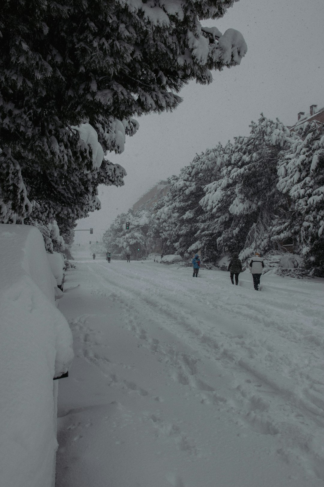 people walking on snow covered field during daytime