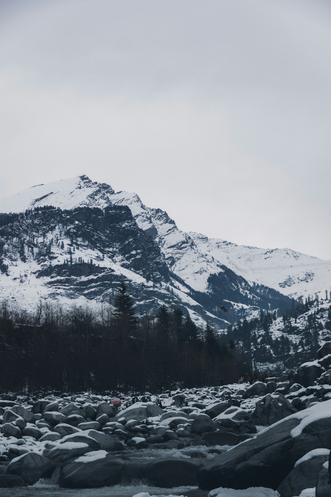 a mountain covered in snow next to a forest