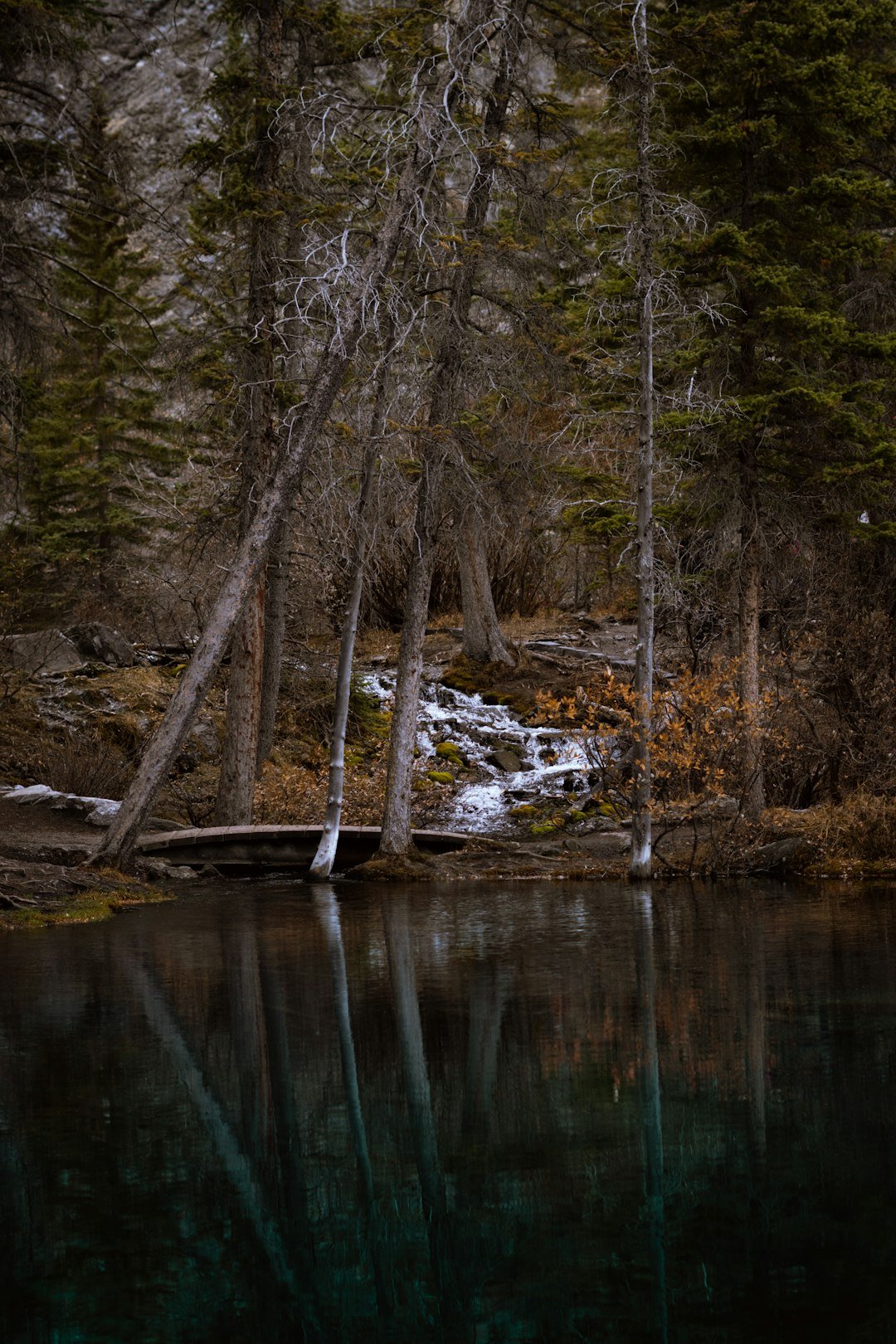 A body of water surrounded by trees and snow
