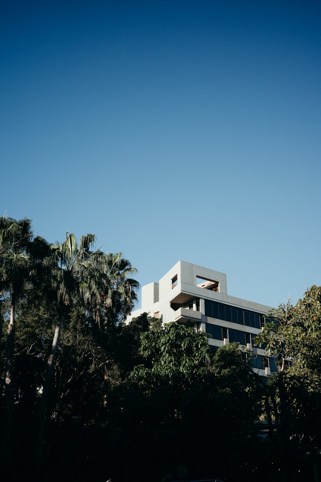 a building with trees in front of it