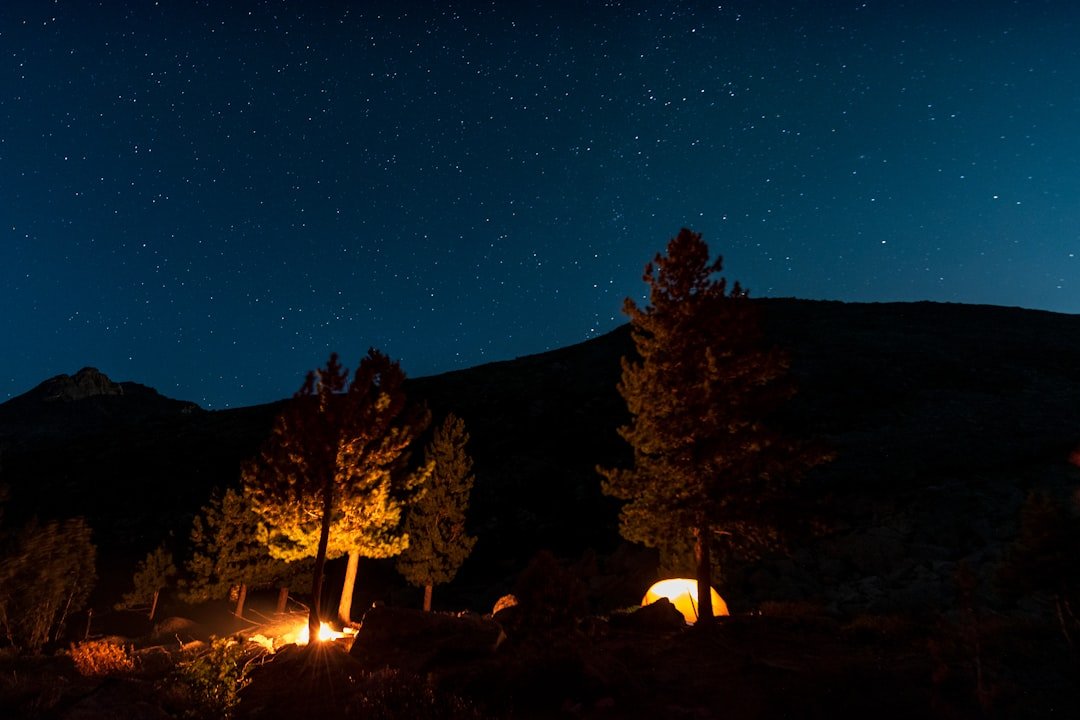 A group of people sitting around a campfire under a night sky filled with stars