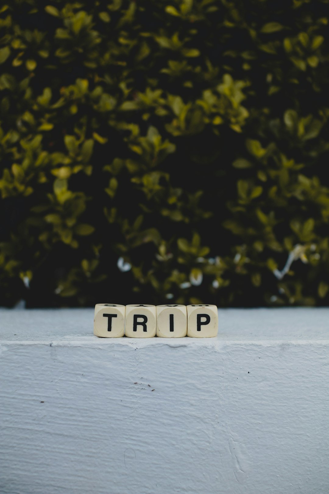 a group of white and black letters on a white surface
