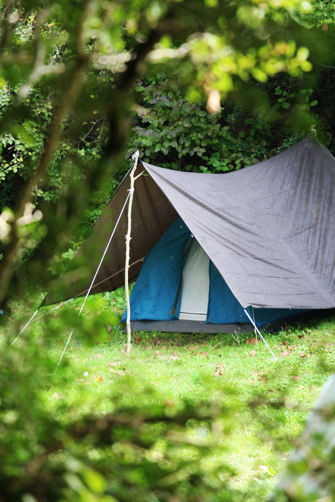 a tent is pitched up in the woods