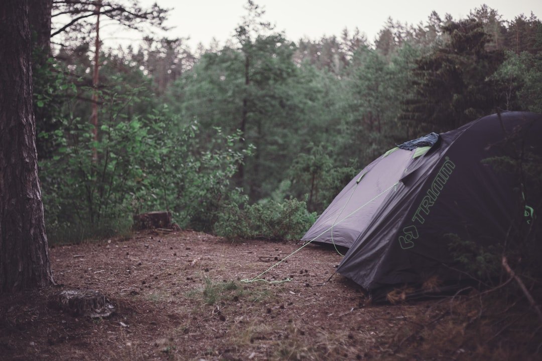 gray tent on brown soil