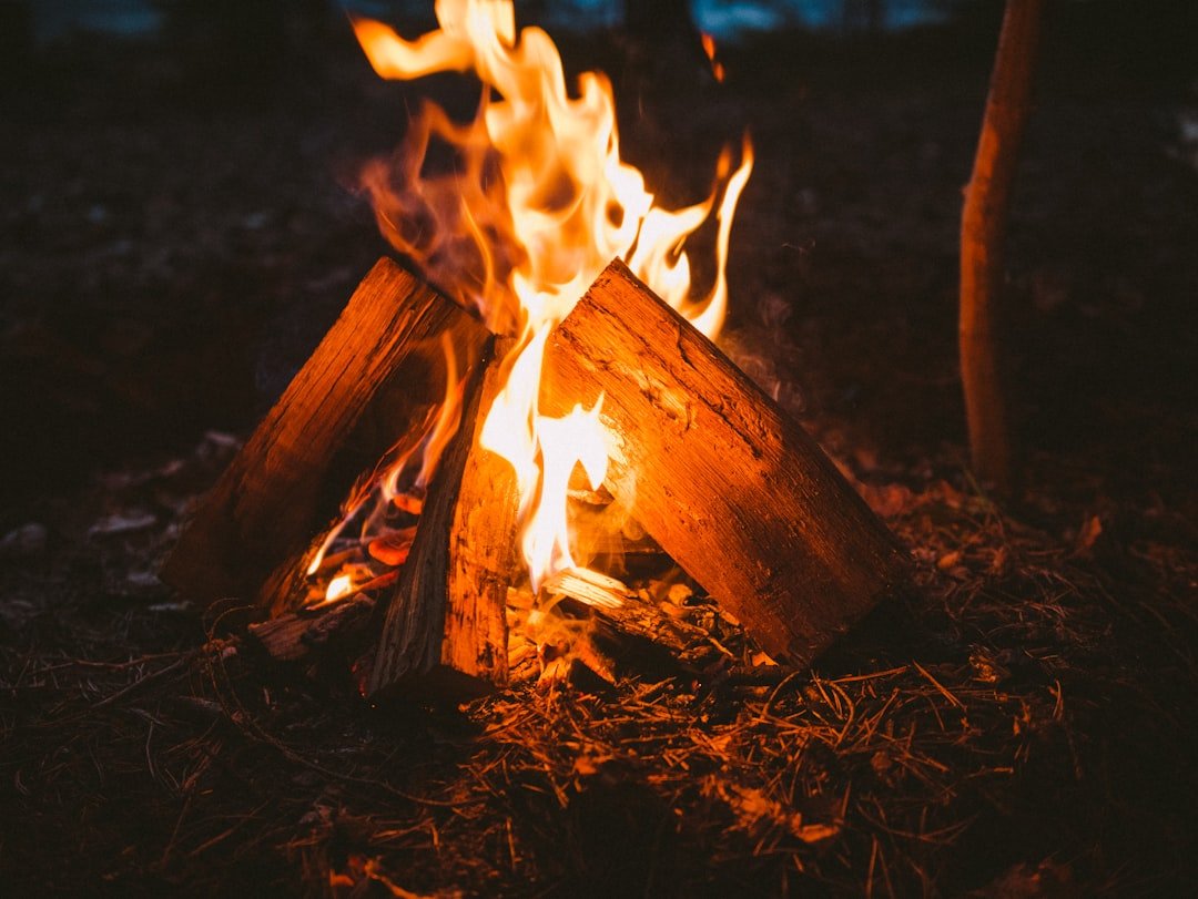 burning wood on brown soil