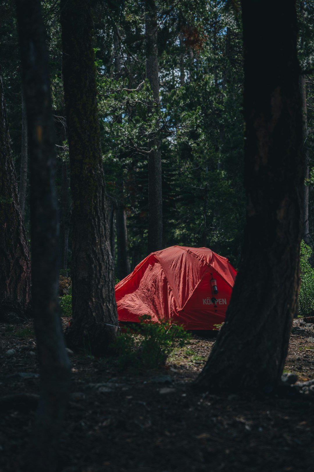 a tent in the woods