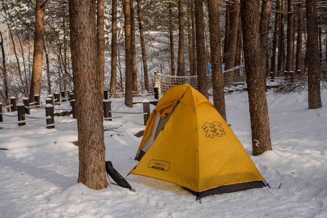 a tent pitched up in the snow in the woods