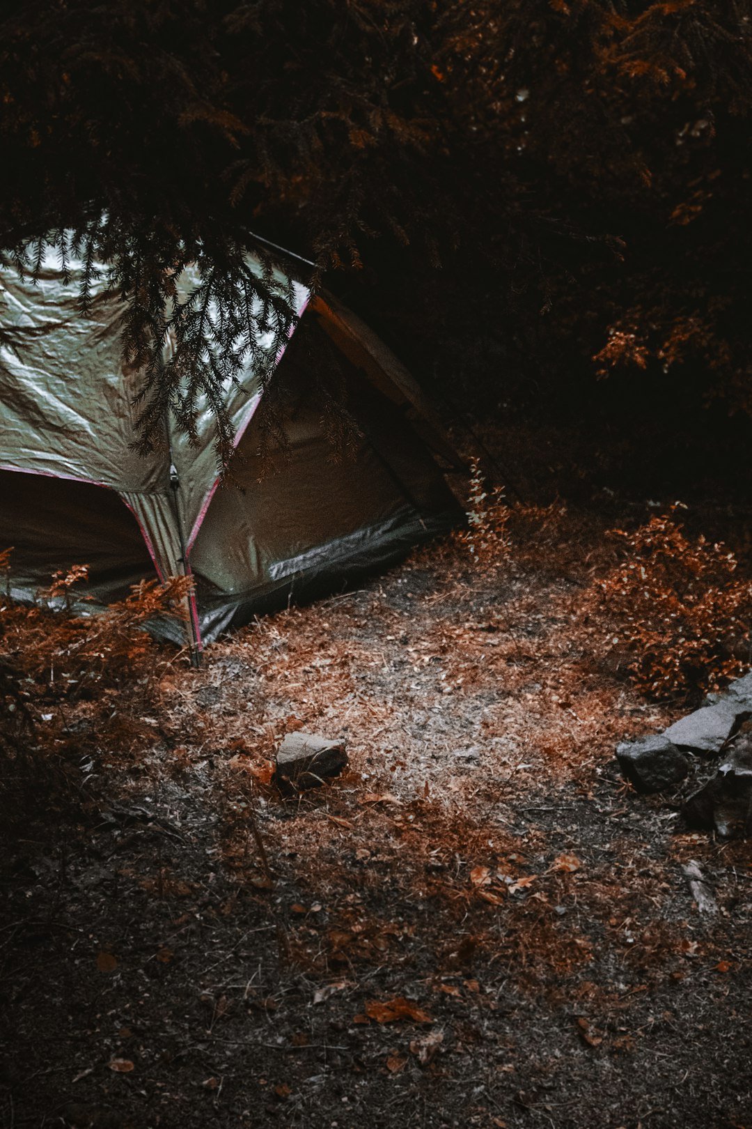 brown and gray tent on brown dried leaves