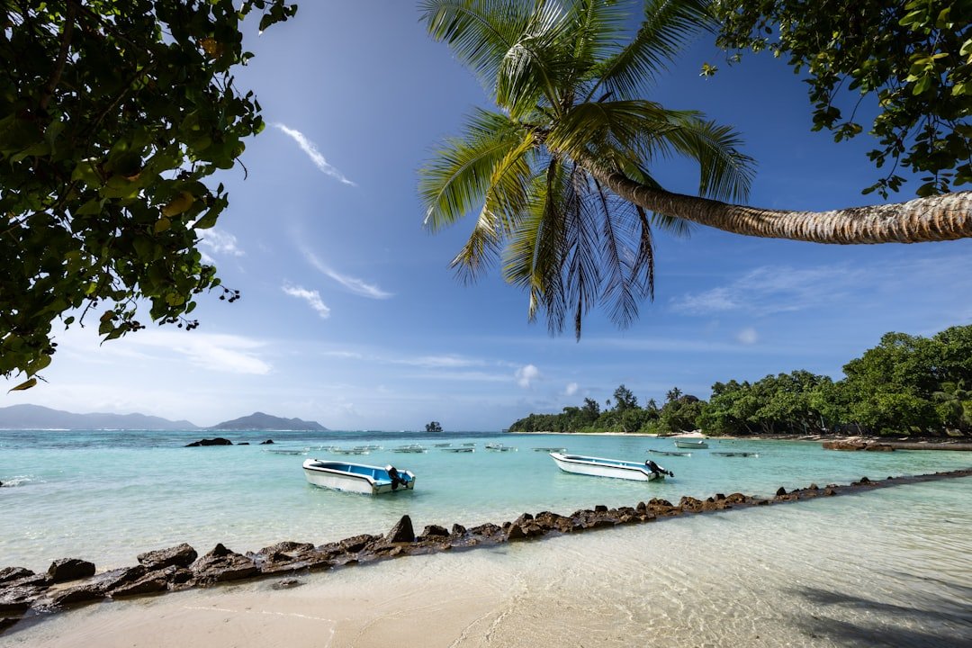 A sandy beach with boats and palm trees