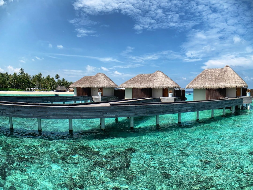 brown wooden house on blue body of water under blue sky during daytime