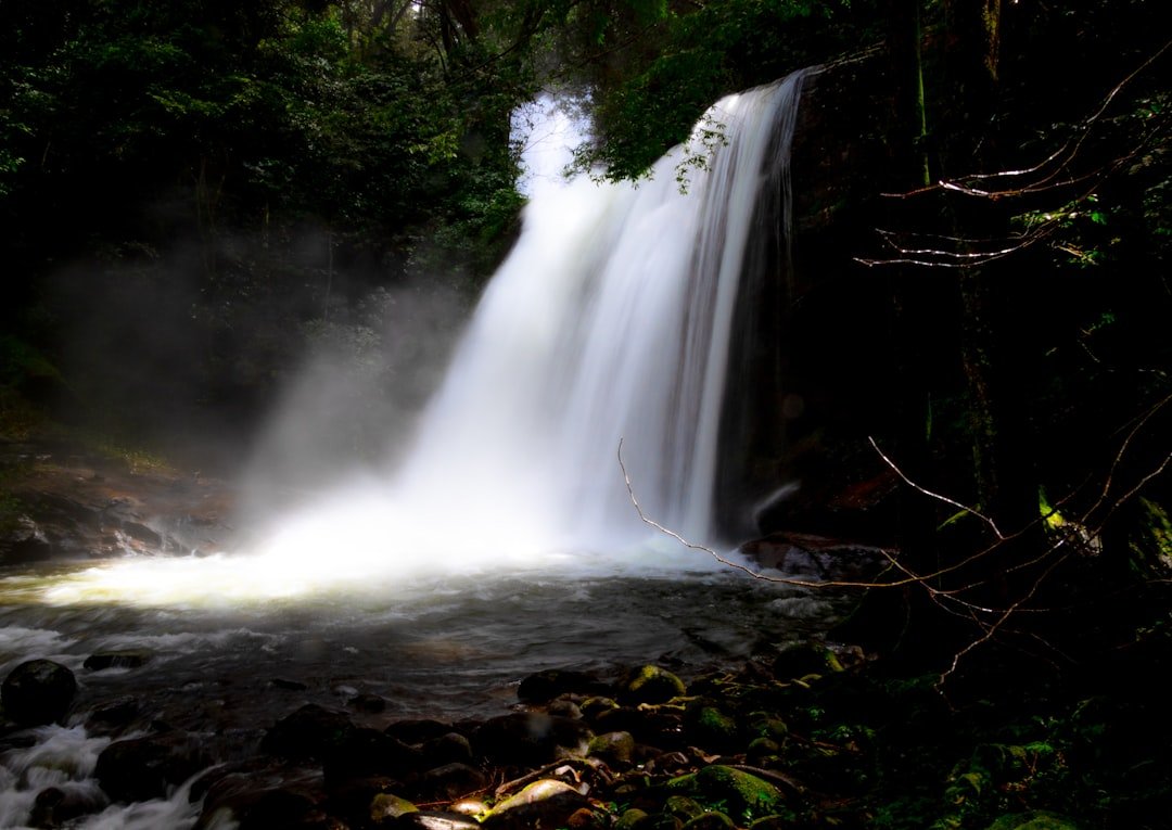 a large waterfall in the middle of a forest