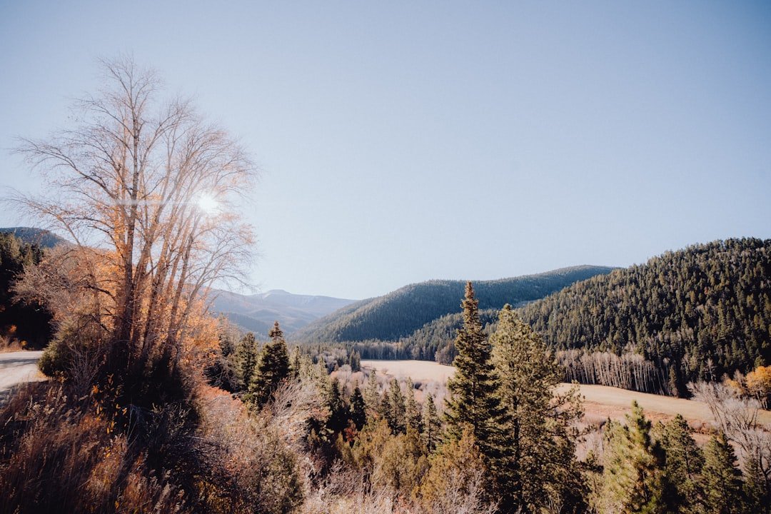 a scenic view of a mountain with trees and a road