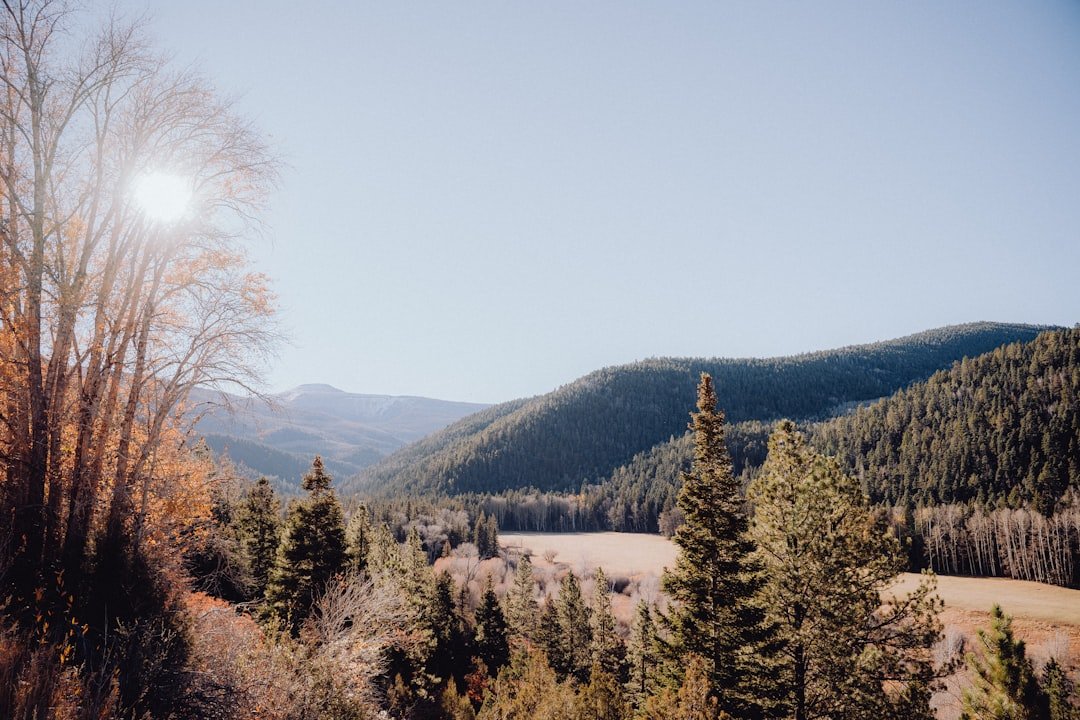 a view of a mountain range with trees in the foreground