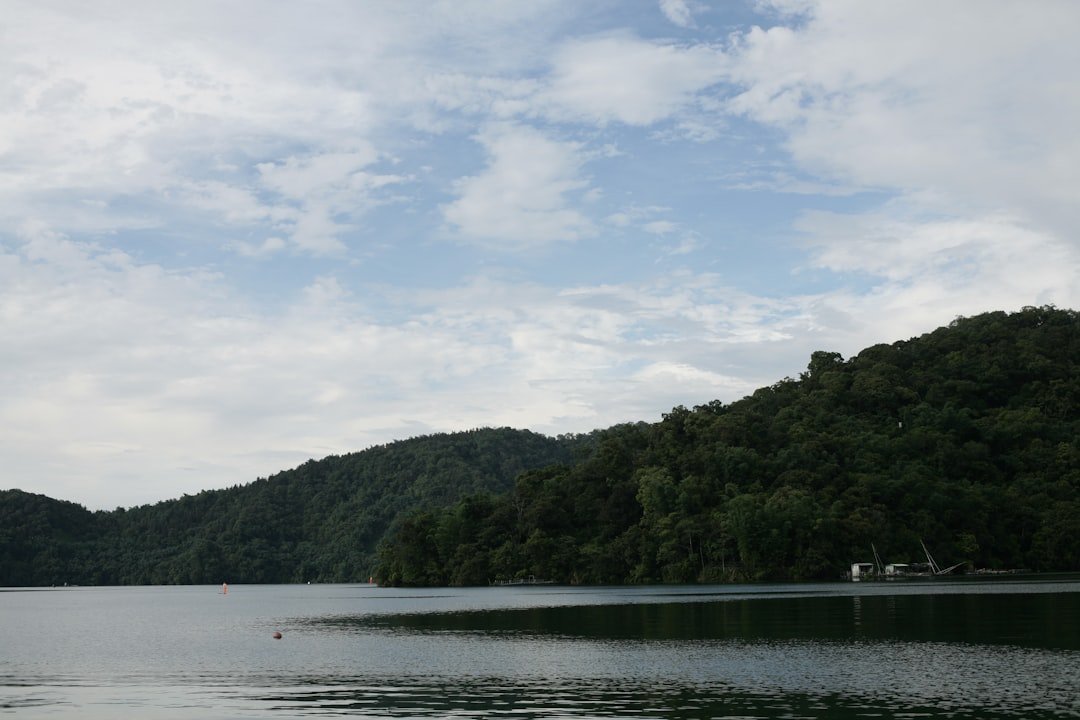 A large body of water surrounded by a forest