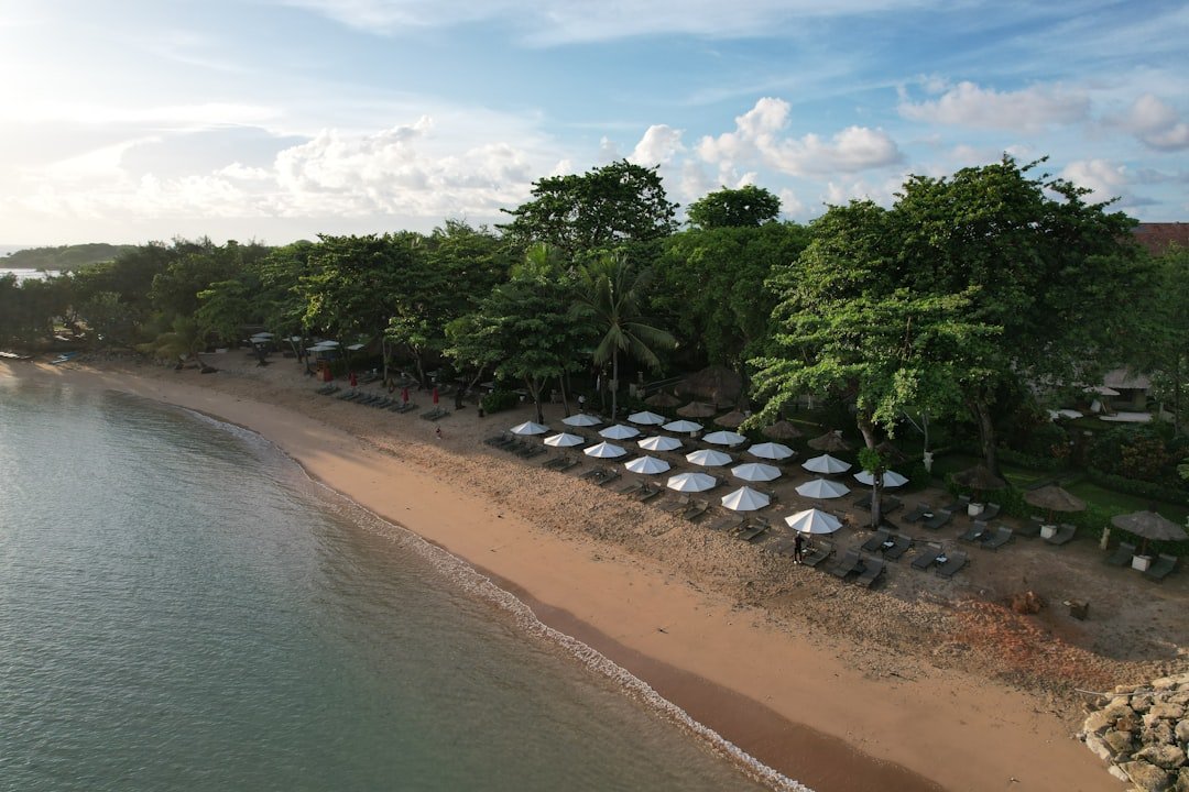 An aerial view of a beach with umbrellas and trees