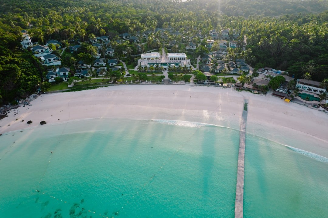 A bird's eye view of a beach and a resort