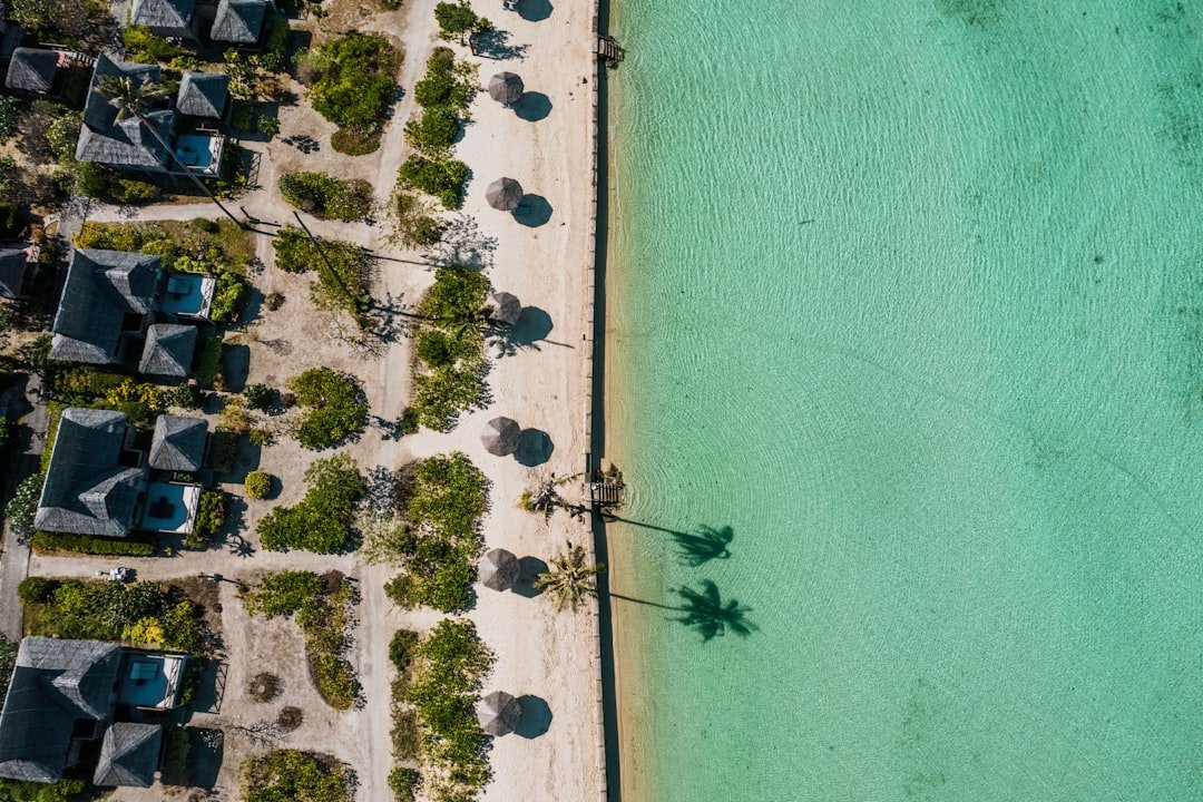 A bird's eye view of a beach with houses