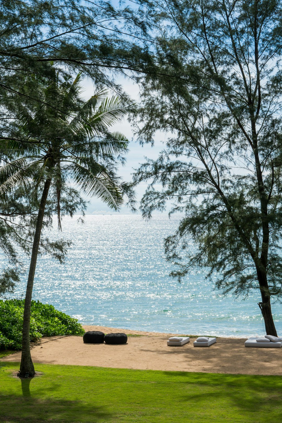 A view of the ocean from a grassy area