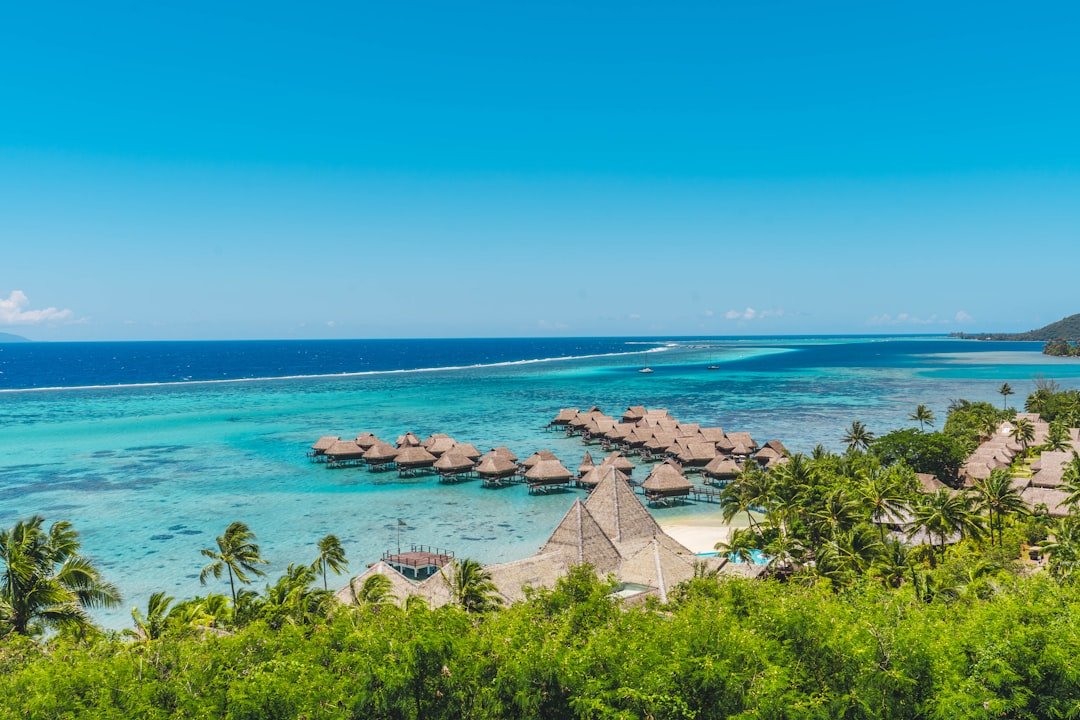 A tropical beach with thatched huts and blue water