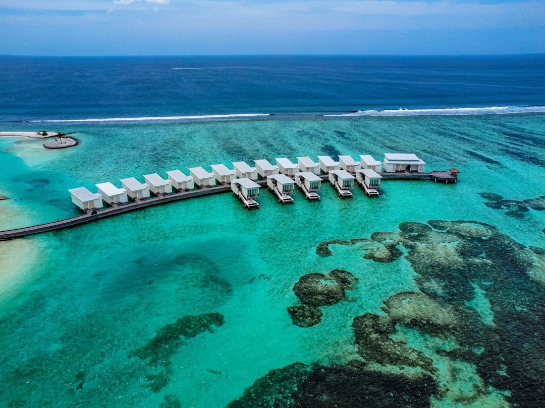 a body of water next to the ocean