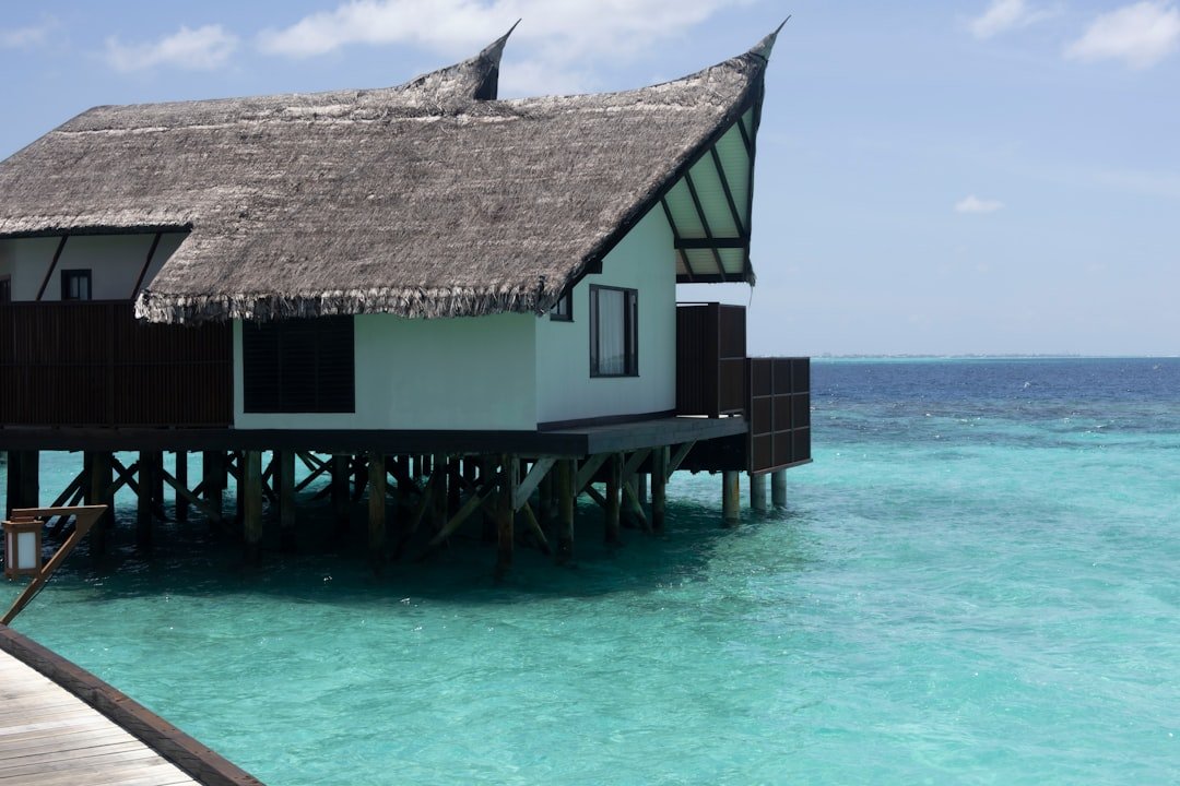 a house with a thatched roof on the water