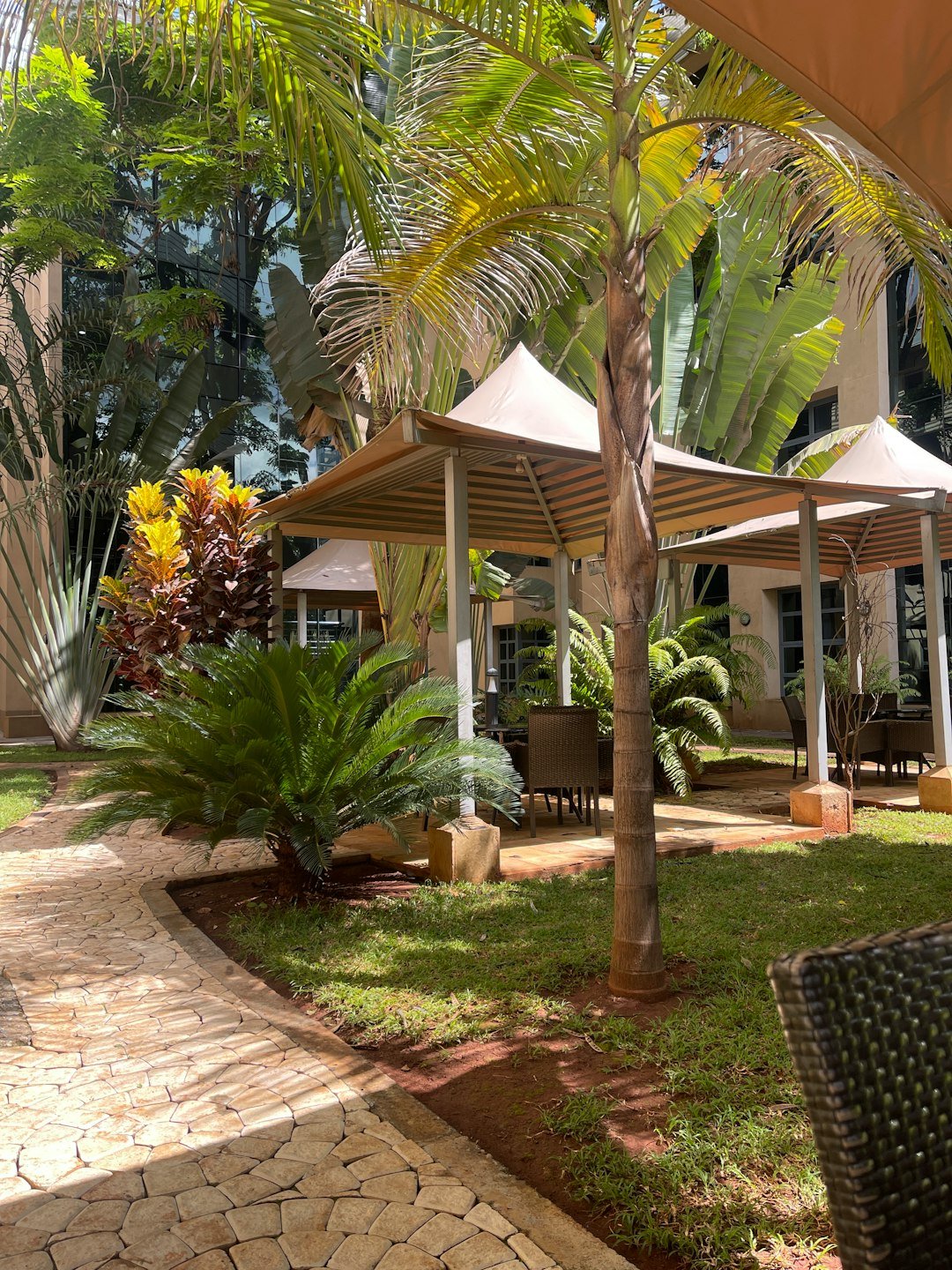 a patio with umbrellas and trees