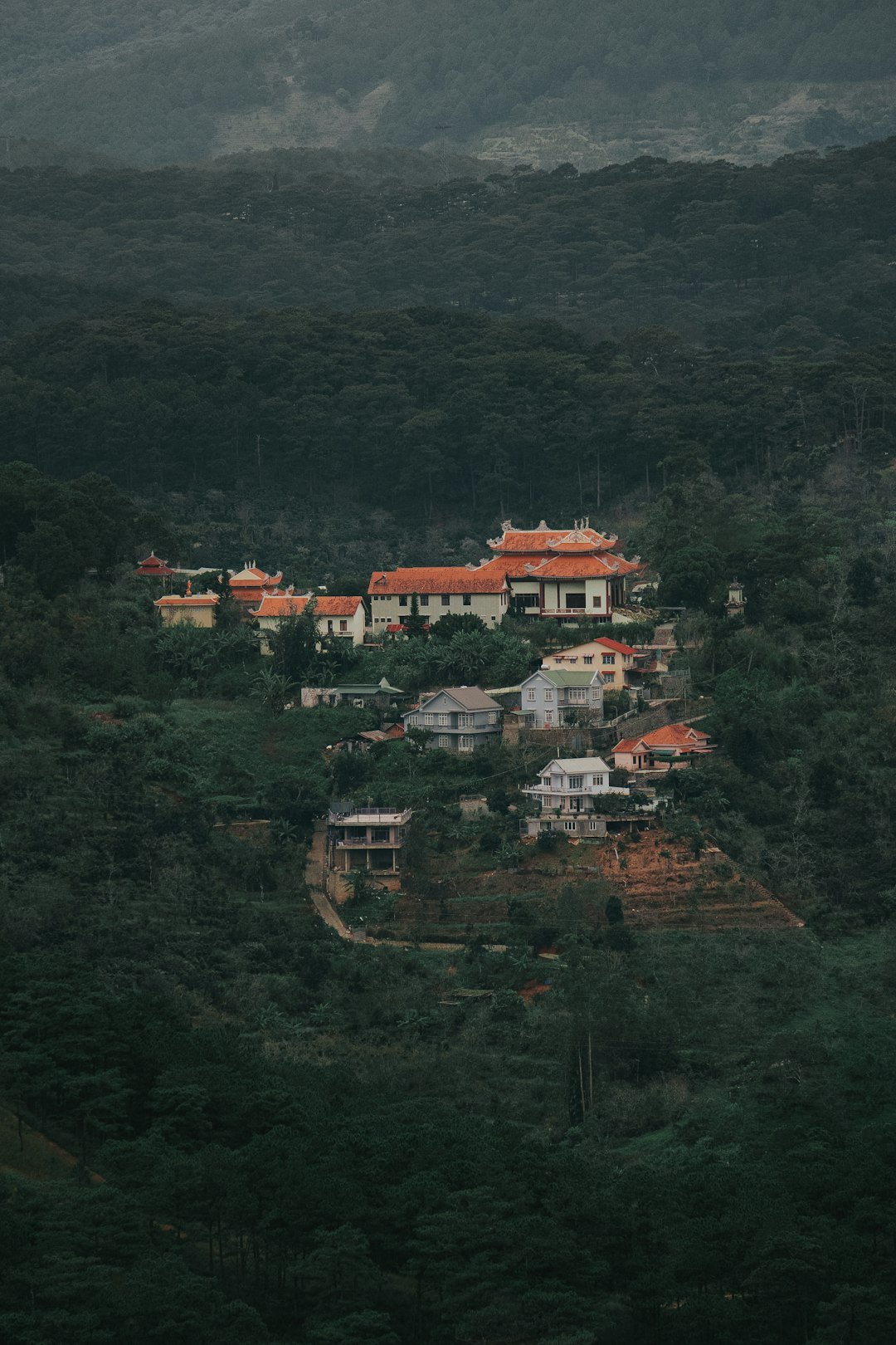 a hillside with houses on it and a mountain in the background