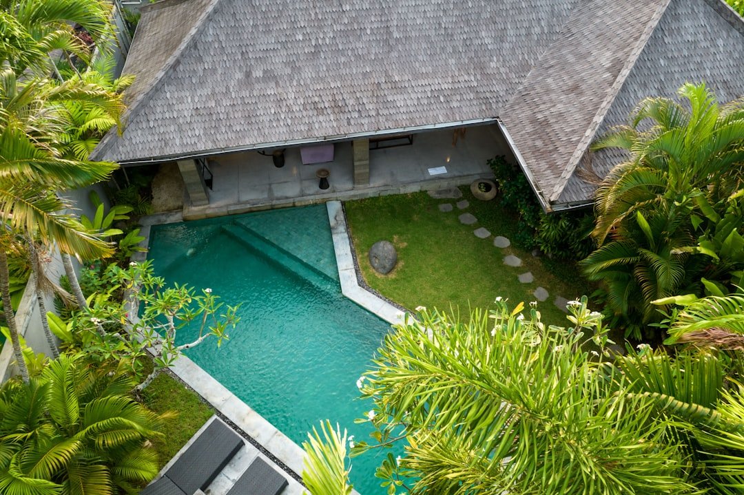 A bird's eye view of a house in the jungle
