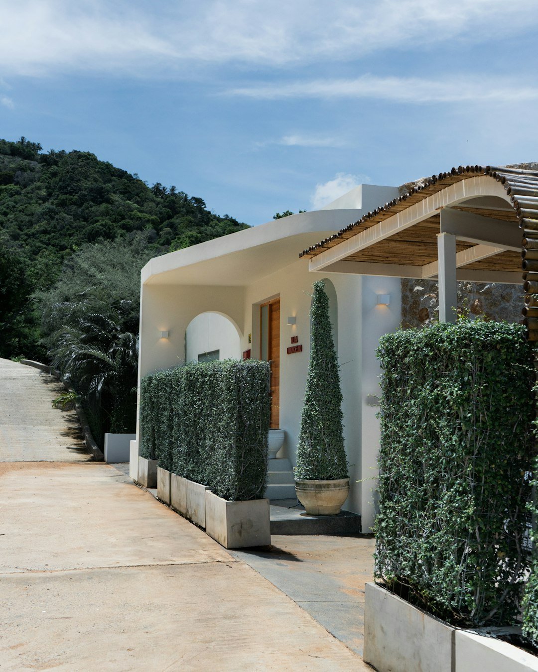 A cozy white building sits amongst lush greenery.