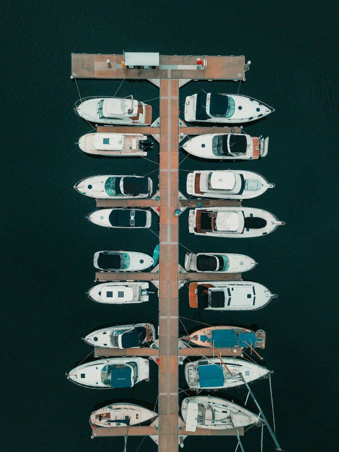 white and brown boat on body of water during daytime