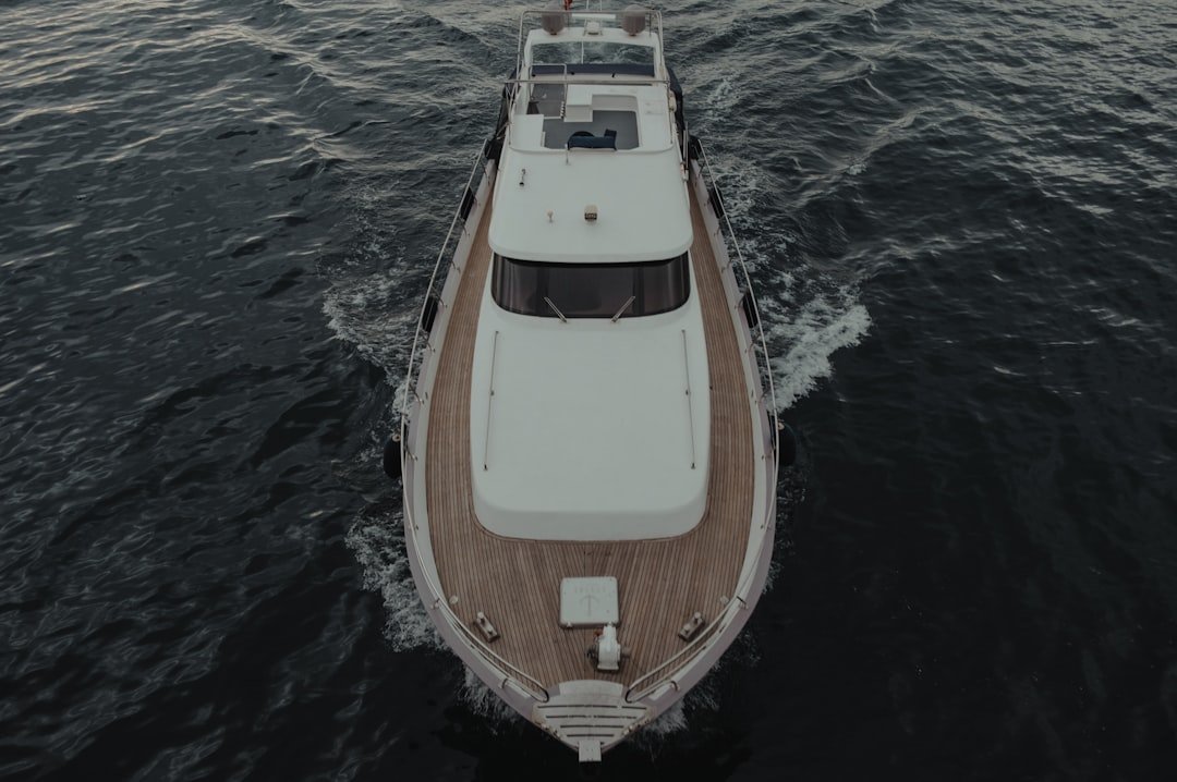 brown and white boat on body of water during daytime