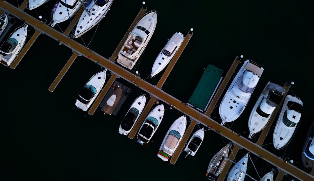 a group of boats parked next to each other