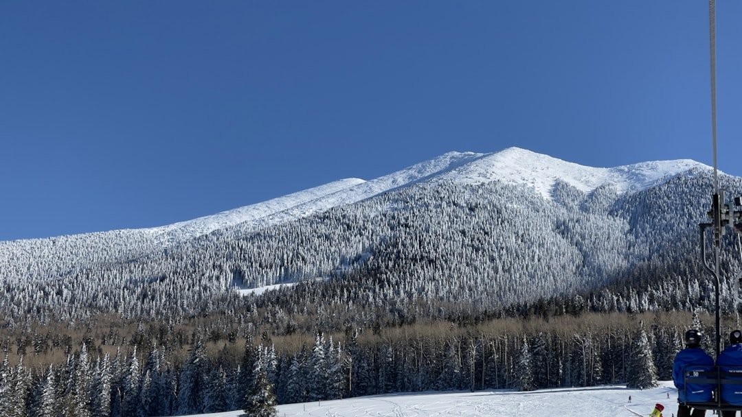 a ski lift on a snowy mountain with trees in the background