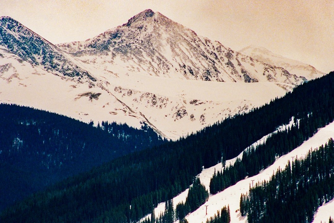 A snow covered mountain with trees and a sky background