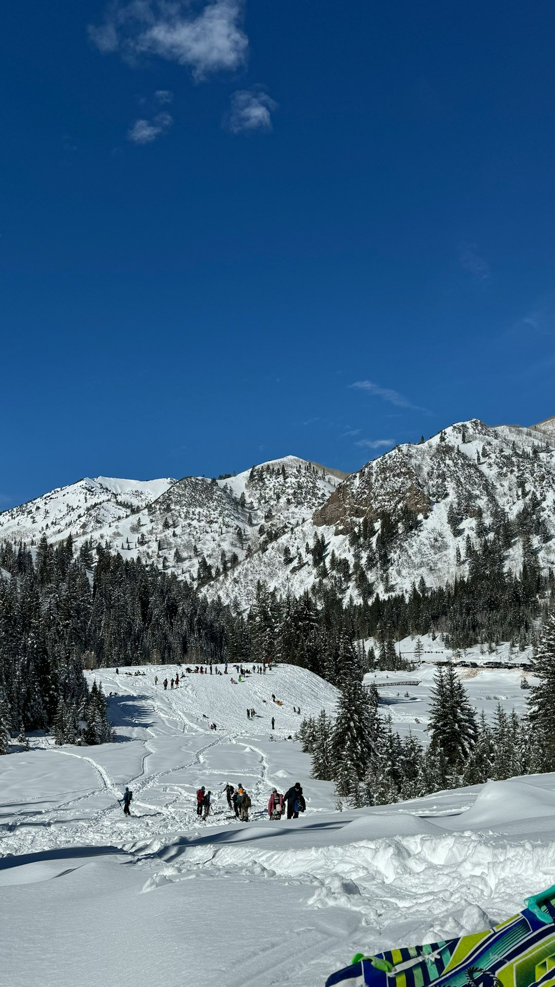 a group of people riding skis down a snow covered slope