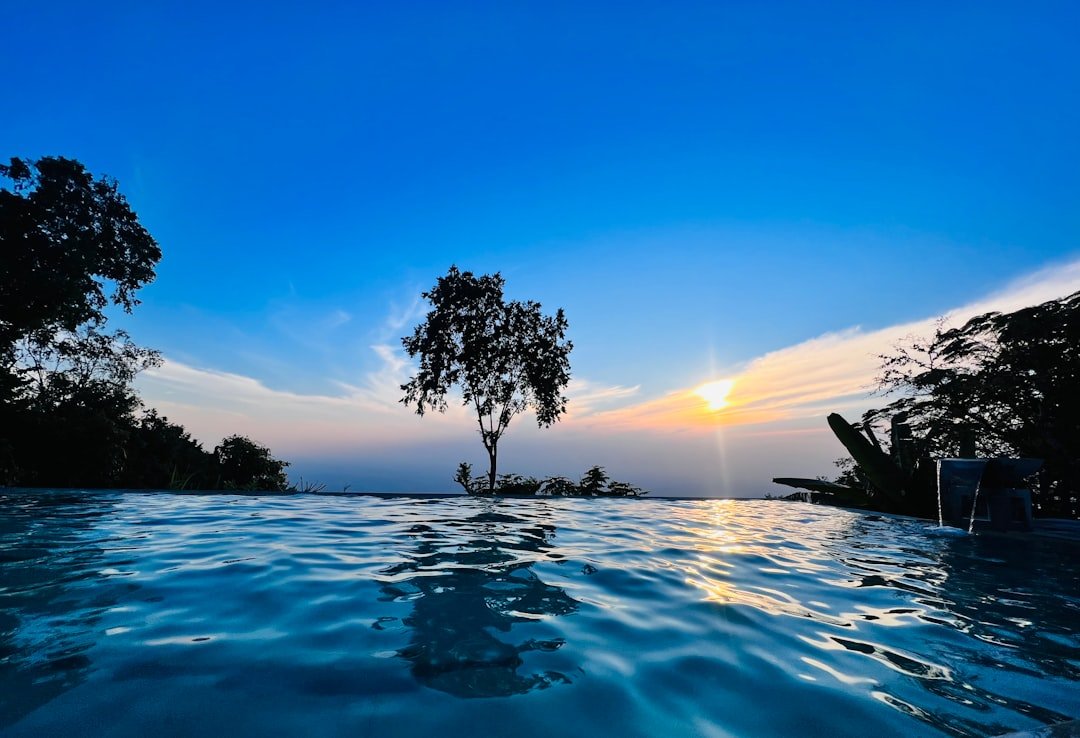 a swimming pool with trees in the background