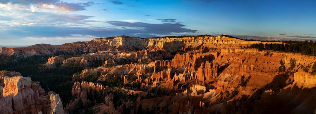 a rocky canyon with trees