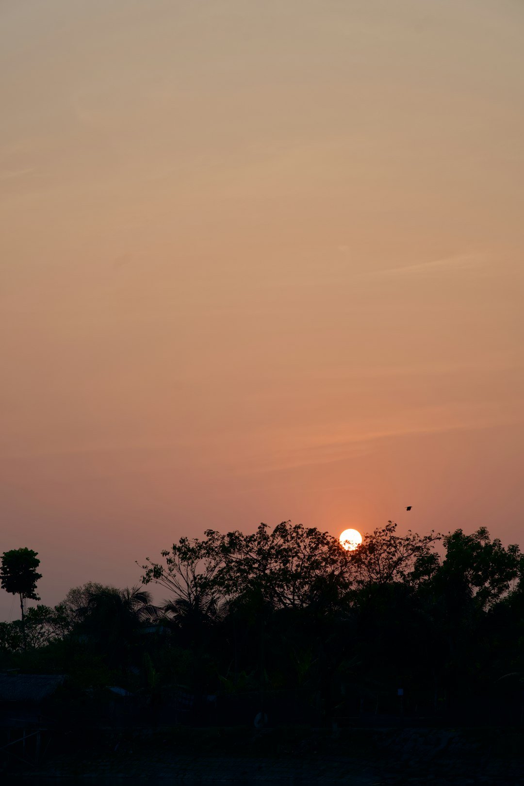 the sun is setting over the trees in the distance
