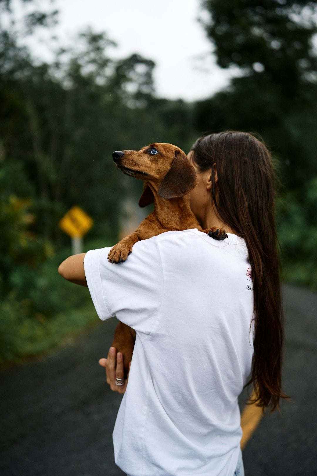 A woman hugs her dachshund dog outside.