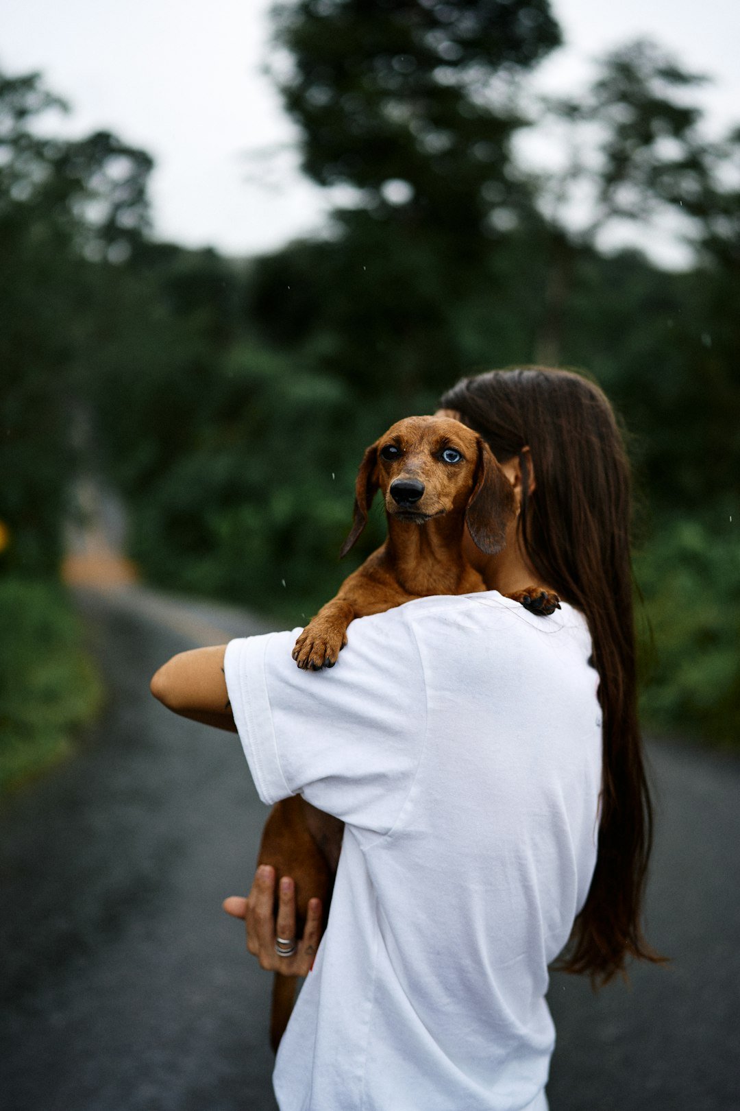 Woman hugs her dachshund on a road.