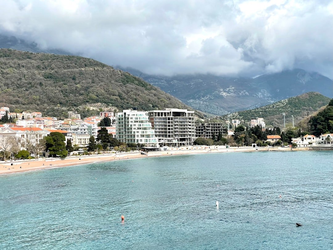 a view of a beach with a city in the background