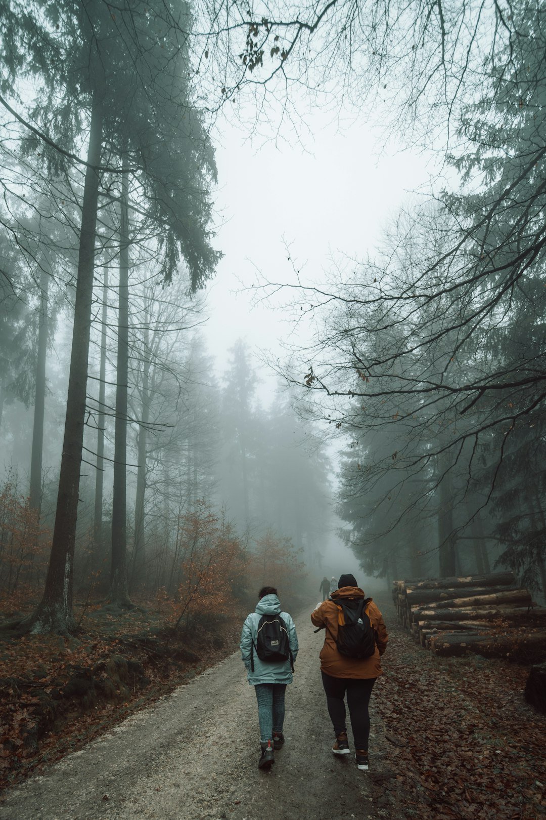 a couple of people walking down a dirt road