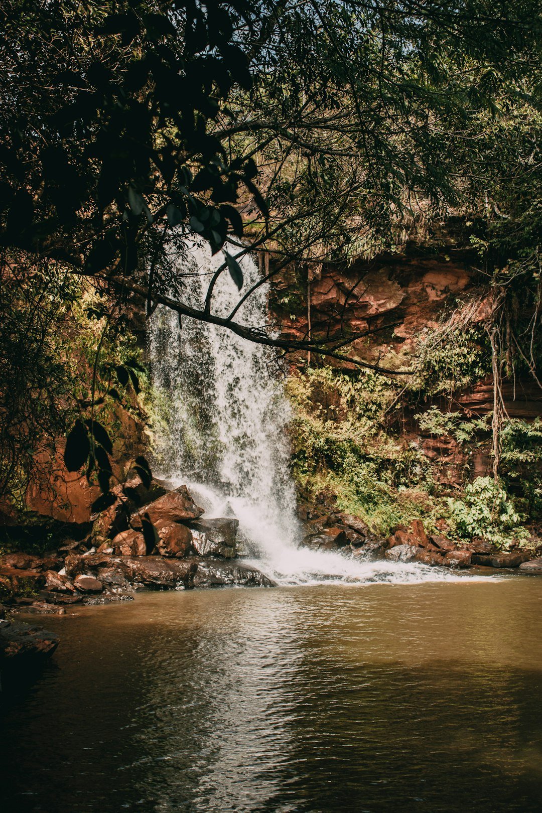 water falls in the middle of the forest