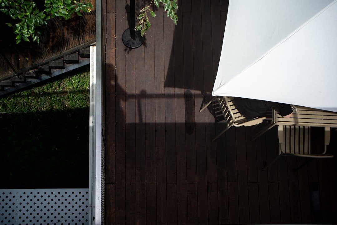 green potted plant beside brown wooden fence